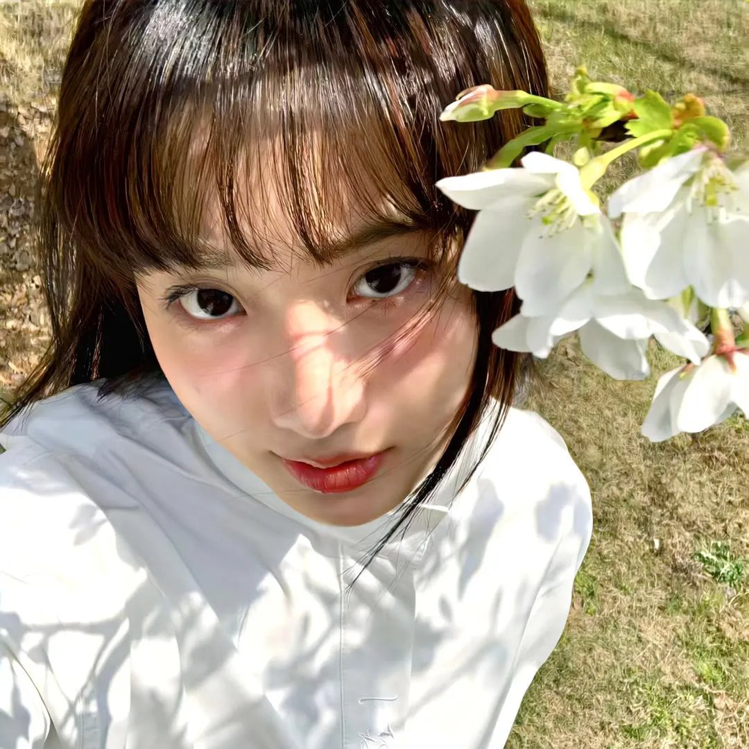 好莱坞以北